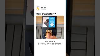 유튜브 썸네일