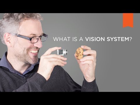 What is a vision system?