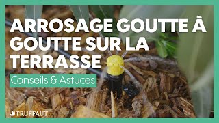 Installer un arrosage goutte-à-goutte Gardena dans une haie