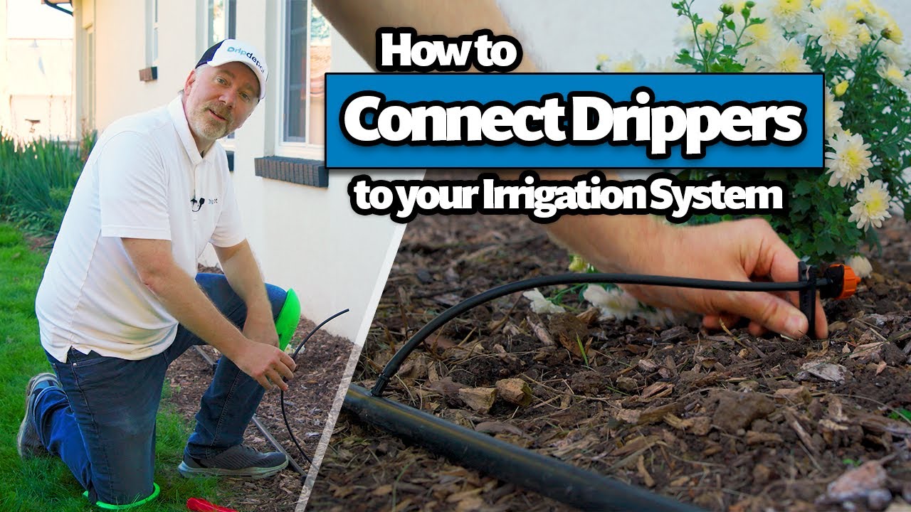 How to Connect Drip Emitters to your Irrigation System with 1/4 inch Micro Tubing