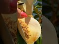 magnolia blooms are so cool!