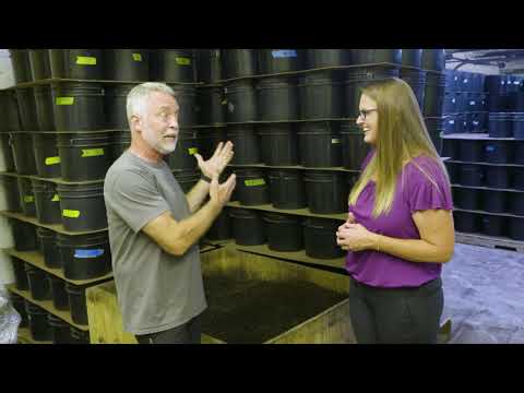 Worm Castings to use in your Garden Soil- Vermicomposting