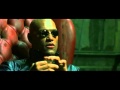 Matrix Trailer