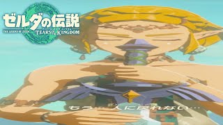 あ、え　こんな序盤に物語りのオチを知ってしまった...。【＃１９】【ゼルダの伝説 ティアーズ オブ ザ キングダム】