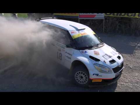 Rally su terra Liburna 2016