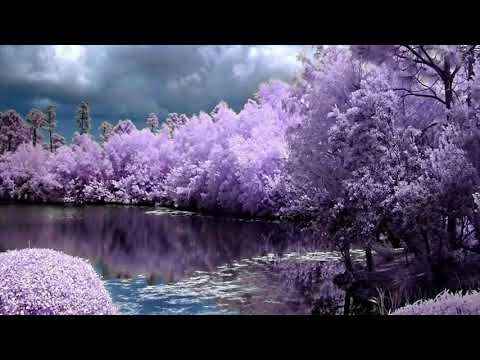 تلاوة رائعه للشيخ عبد الباسط عبد الصمد تهدء الاعصاب