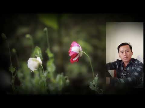 cia koj yog tus kuv khuv xim karaokeo1