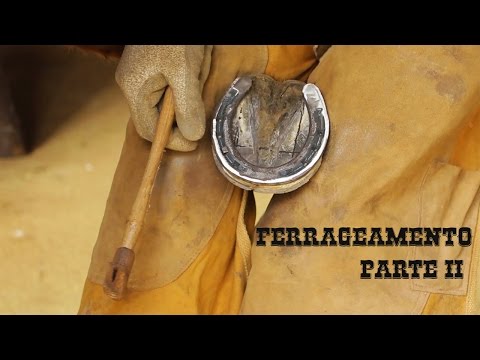 Ferrageamento II Parte - Série Casqueamento e Ferrageamento
