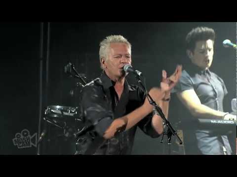 Icehouse - We Can Get Together  (Live in Sydney) | Moshcam