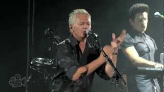 Icehouse - We Can Get Together  (Live in Sydney) | Moshcam