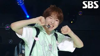 Download lagu NCT WISH -  내 얘길 들어봐 (원곡:파파야)♬ mp3