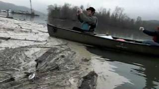 TVA Coal Ash Spill Emory River Tennessee