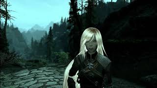 Skyrim Mod: AIM FIX