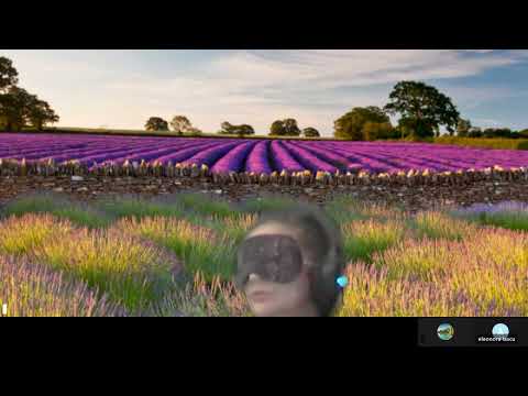 HIPNOZA REGRESIVA.RO-2125.Nicoleta,pomana de 40 zile,curatarea casei E. LASCU coord