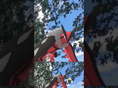 Batalla de legendarios en el río Bio Bío, Hualqui #pokemongo #pokemon #xerneas #yveltal #zacian