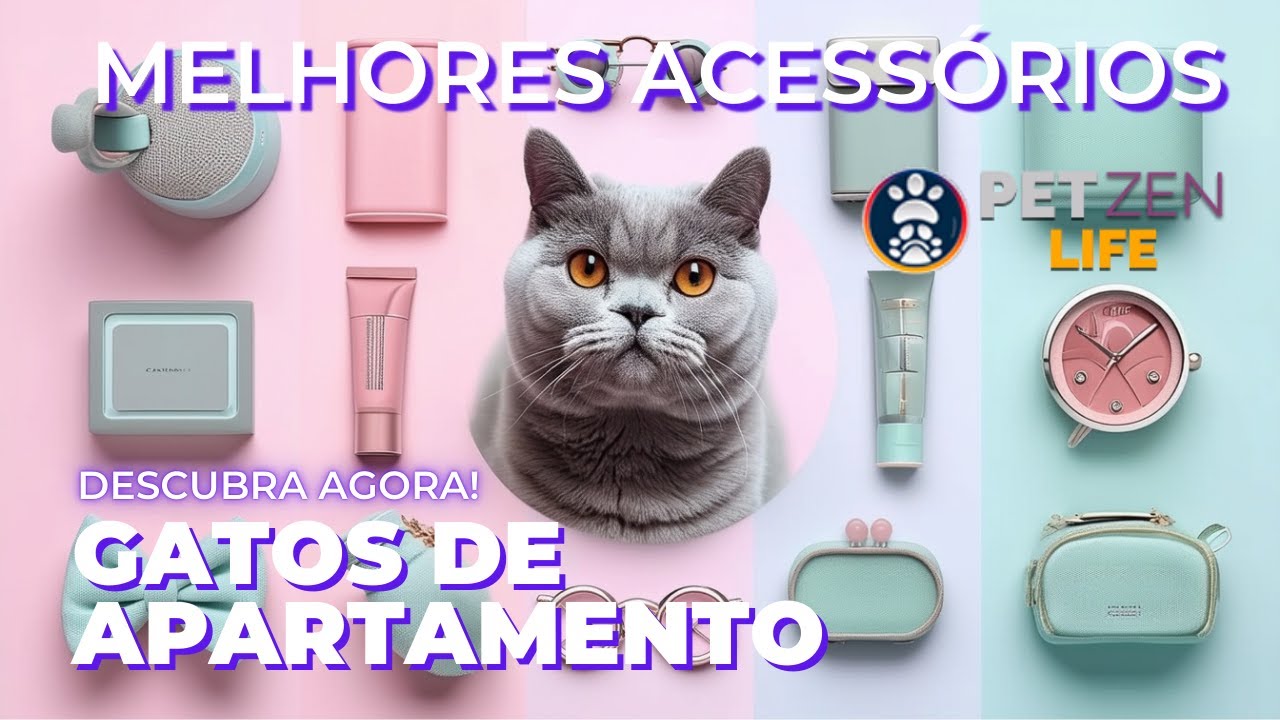 Top 10 Acessórios Essenciais para Gatos em Apartamentos!