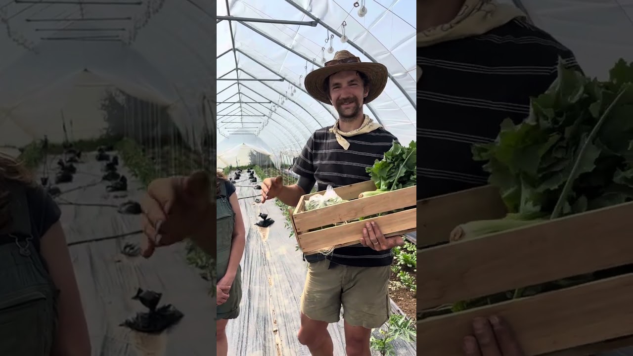 CSA week 8 spring 2024