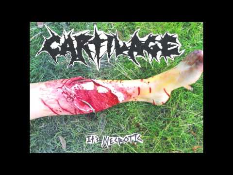 Cartilage - It's Necrotic CS FULL DEMO (2015 - Death metal / Grindcore)
