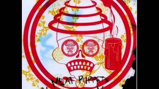 Meat Puppets - Radio Moth