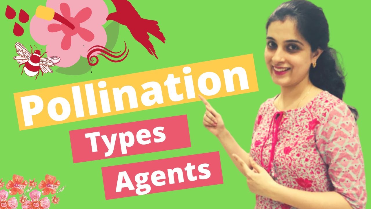 🌺 Pollination and Fertilisation Class 9 ICSE biology |Types, Agents of Pollination in Plants Class 9