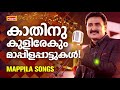 MAPPILA SONGS | Malayalam Mappila Songs | Nisari Mappila Pattukal | Pazhayamappila Songs
