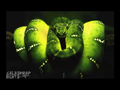lil wayne-krazy type beat 2014 snakes (kalashrap beats)