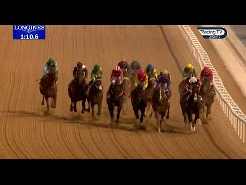 2023 03 /4/R6/A de Vires /Salute The Soldier/2000m@Meydan( G1)