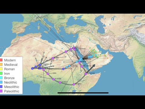 Ancient E1B1A Clade found In Bronze and Iron Age Near East (E-CTS3705)