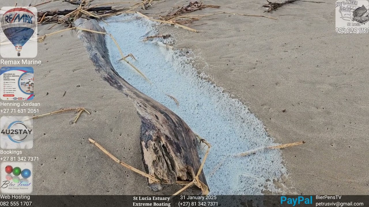 St Lucia Experience - 27 - 31 January 2025 - Catching Up