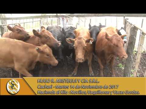 14-11-17 Venta de Hacienda al Kilo - Hugo R. Aristegui y Cia S.R.L. - Cacharì.
