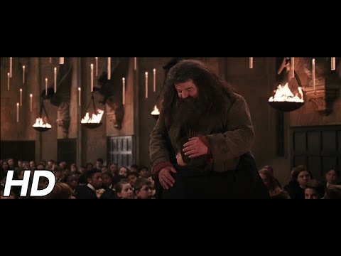 'There's no Hogwarts without you, Hagrid' | Harry Potter and the Chamber of Secrets