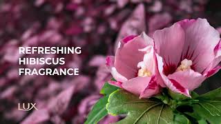 Download lagu NEW LUX PROTECT & PAMPER - Refreshing Hibiscus Fragrance mp3 Download lagu NEW LUX PROTECT & PAMPER - Refreshing Hibiscus Fragrance mp3