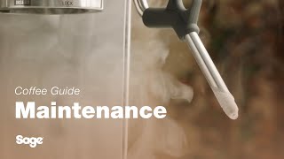 The Barista Express™ | How to clean the steam wand in five steps | Sage Appliances UK