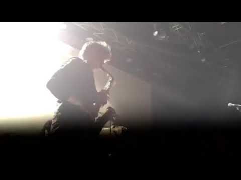 Oiseaux-Tempête (live @ Le Guess Who?)