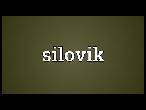 Silovik Meaning