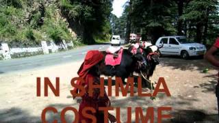 preview picture of video 'KUFRI  A HIMALAYAN CITY OF SHIMLA 105 by www.sabukeralam.blogspot.com'