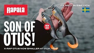 Rapala rap x