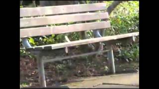 What Ever Happened To Little Lisa?