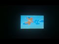 Opening To Blue S Clues Shapes Colors 2003 DVD