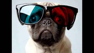 Hawk Nelson - Stagefright (The final toast)