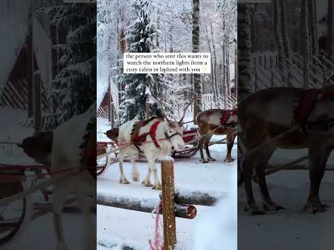 put seeing the northern lights on your calendar for 2025 #finland #lapland #cozyvibes #christmasmood