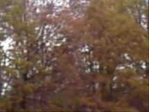 Derby Polonii Hyżne