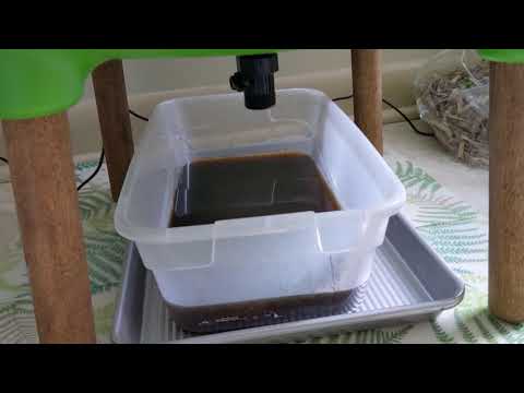 Hot Frog Living Composter Day 76 - First Worm Tea Harvest - Vermicomposting