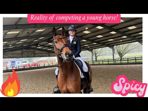 REALITY OF COMPETING A YOUNG HORSE | the highs & lows
