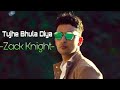 Zack Knight - Tujhe Bhula Diya | Zack Knight 2019 (Official Video song)