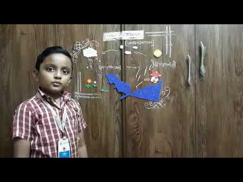 Water cycle in nature by Avaneesh.R of Class 3