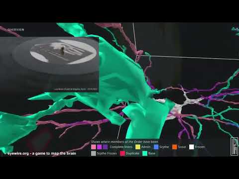 Luca Musto - im Sisyphos, Berlin 2019