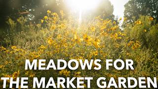 Establishing a Meadow (or a Micro-Meadow) for Beneficials
