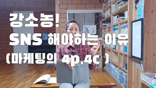 강소농! 농업인이 SNS 해야하는 이유. 마케팅의 4P, 4C는?