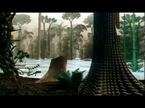 Entstehung von Kohle